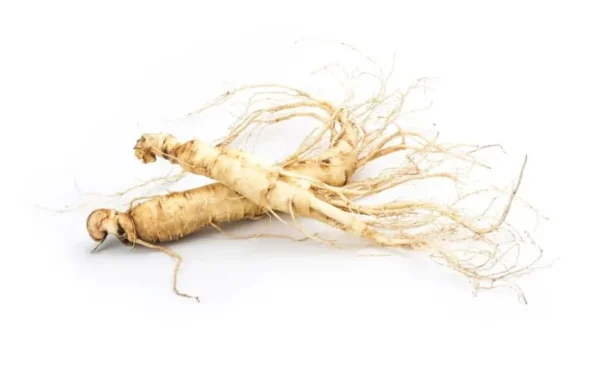 American Ginseng