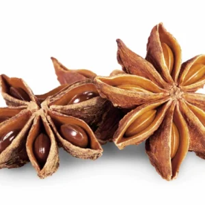 Anise-Seed