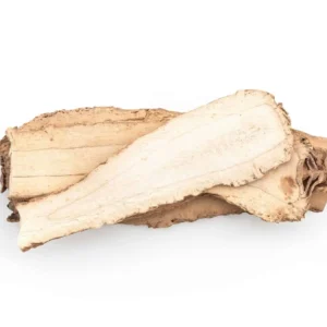 Astragalus