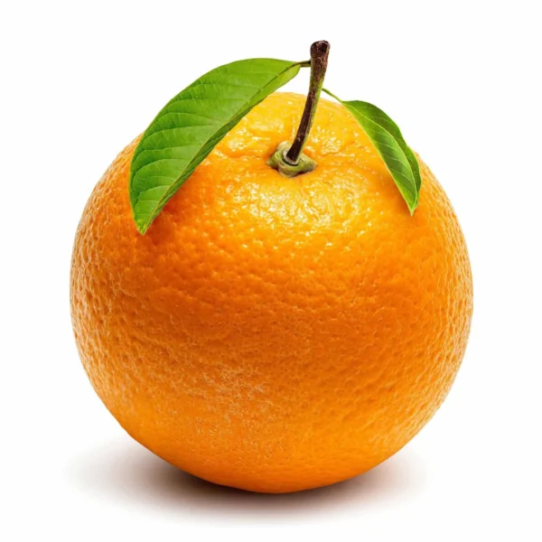 Bitter-Orange