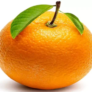 Bitter Orange Extract