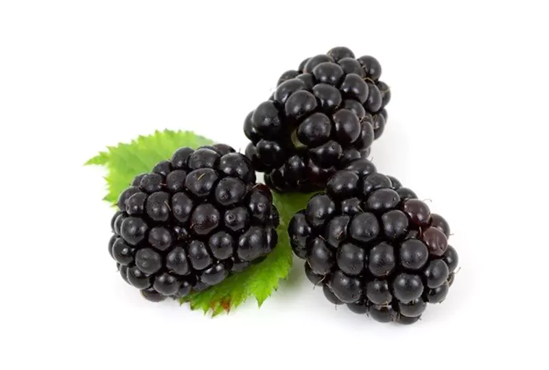 Blackberry Powder