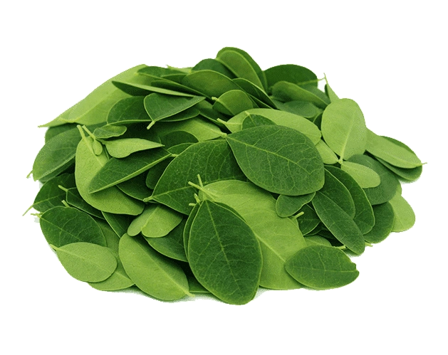 Carporate-Organic-Farming