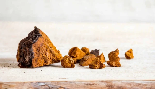 Chaga