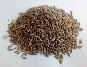 Cumin