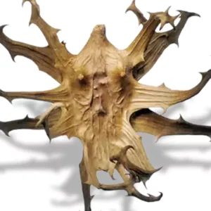 Devils Claw Extract