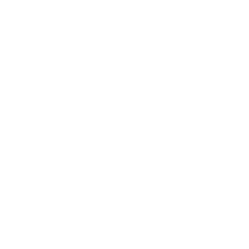 Expert-team