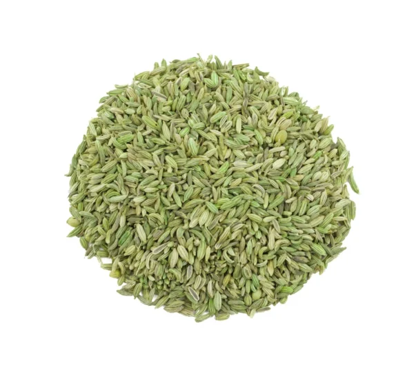 Fennel