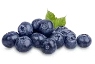 Fruit Powders