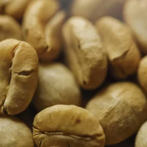 Green-Coffee-Extract