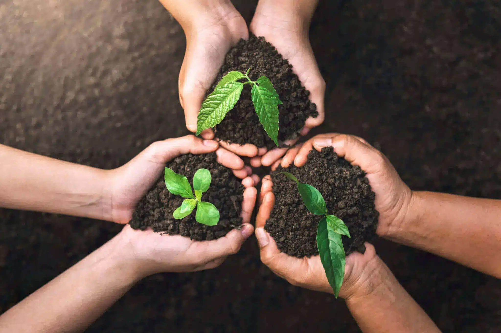 Growing-a-sustainable-future-together