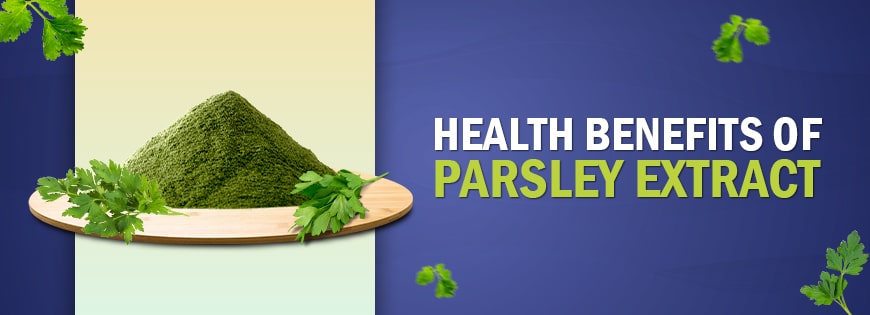 Health Benefits of Parsley Extract 