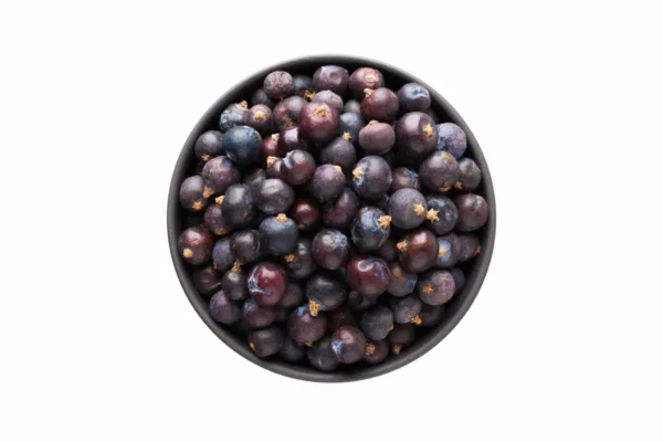 杜松子萃取物（Juniperus communis） - NaturMed Scientific