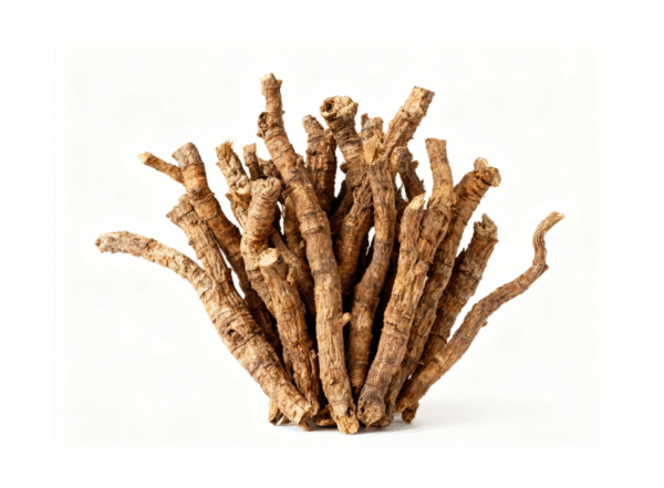 Picrorhiza Kurroa Extract