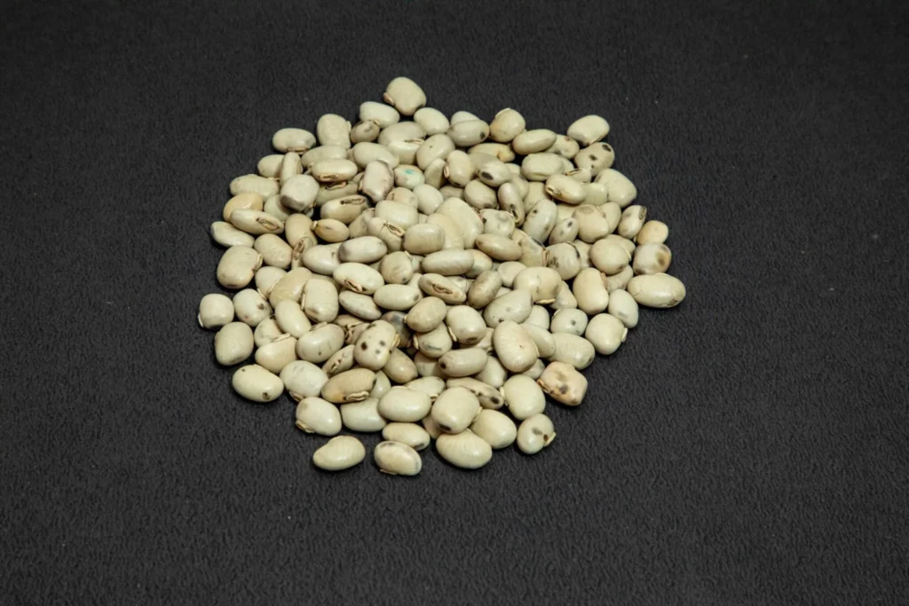 刺毛黧豆萃取(刺毛黧豆) - NaturMed Scientific