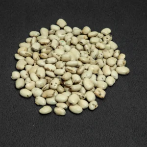 Mucuna-Pruriens