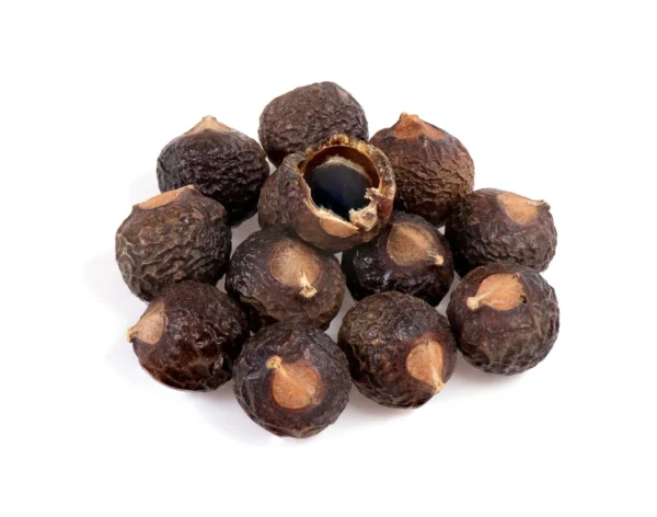 Reetha Dry Extract