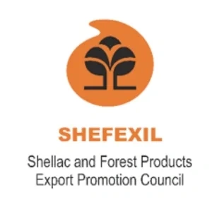 Shefexil