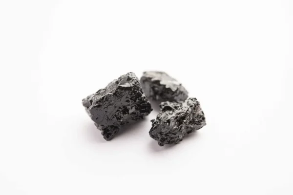 Shilajit Extract