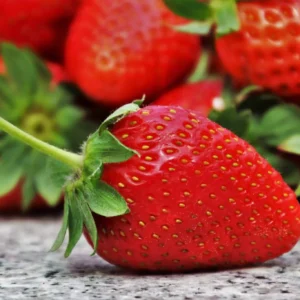 Strawberry Juice Powder