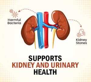 Supports Kidney and Urinary Health