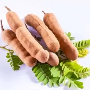 Tamarind
