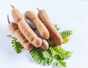 Tamarind Juice Powder