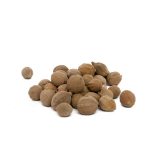 Terminalia Bellerica Extract
