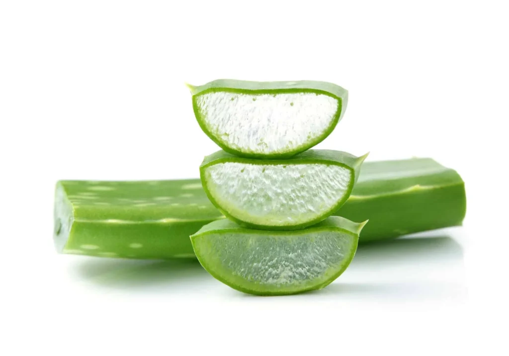 Aloe Vera Extrakt (Aloe barbadensis Mill.) - NaturMed Scientific