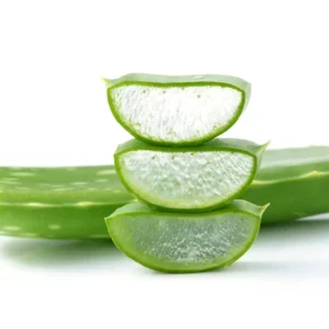 aloe-vera