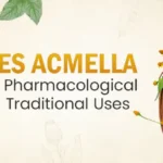 Spilanthes acmella: A Review of Its Pharmacological Activities and Traditional Uses