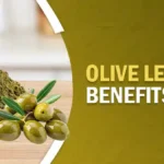 Olive Leaf Extract: Dosage, Benefits, Side Effects, and More 