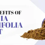 Health Benefits of Griffonia simplicifolia Extract