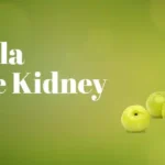 Can Amla Improves Kidney Health?