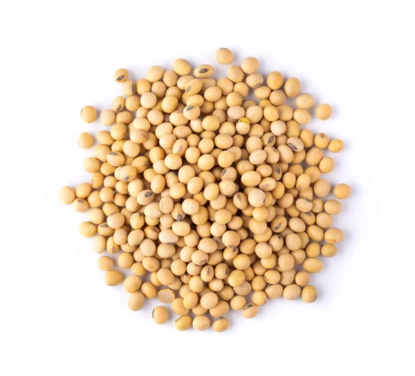 nattokinase