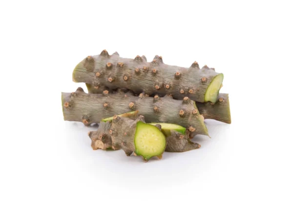 Tinospora Cordifolia Extract (Tinospora cordifolia)