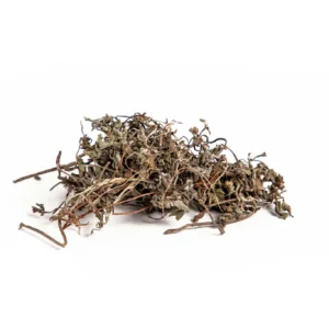 Tribulus Terrestris Extract (Tribulus terrestris)