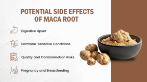 Potential Side Effects of Maca Root 