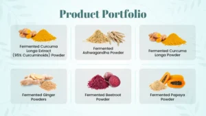 Product Portfolio