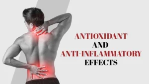 Antioxidant and Anti-Inflammatory Effects