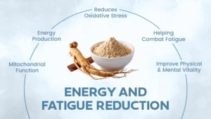Energy and Fatigue Reduction