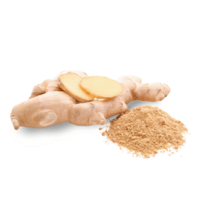Fermented Ginger Powder (Organic/Conventional)