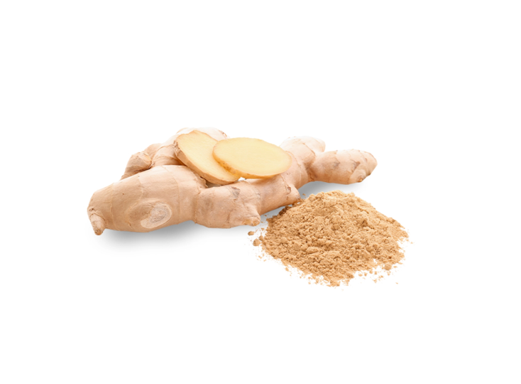 Fermented Ginger Powder (Organic/Conventional)
