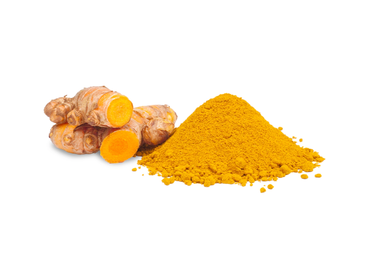 turmeric rhizome with powder copy