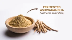 Fermented Ashwagandha copy