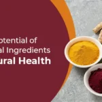 Unlocking the Potential of Fermented Botanical Ingredients : Benefits in Natural Health
