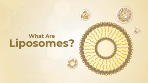 What Are Liposomes