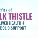 Benefits of Milk Thistle for Liver and Blood Sugar