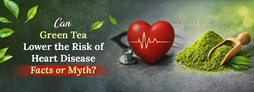 Can Green Tea Lower the Risk of Heart Disease Facts or Myth