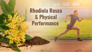 Rhodiola Rosea and Physical Performance